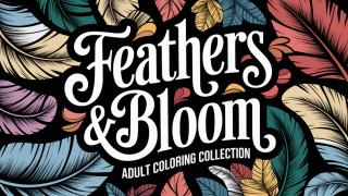 Feathers & Blooms Coloring Collection Feature Image